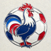 法国国家足球队标志 - 高卢雄鸡与三色旗元素